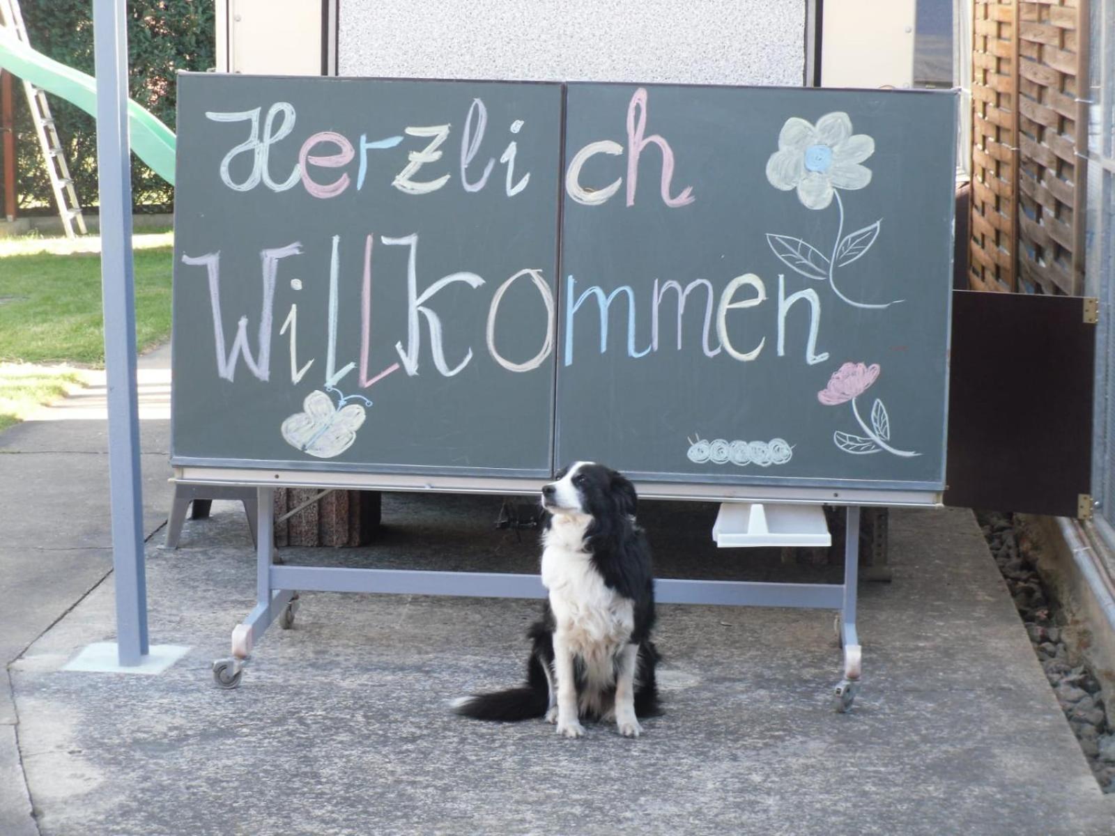 Ferienwohnwagen Rudolf Apartment Coswig  Bagian luar foto